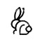 rabbit